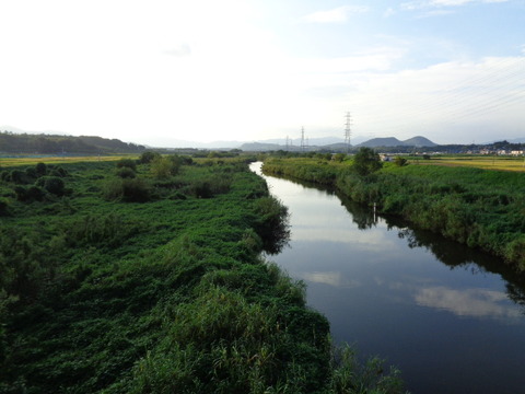 DSC02947