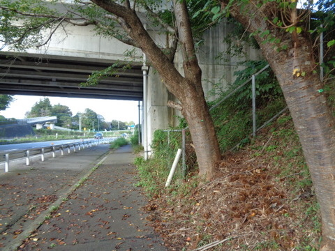 DSC02931