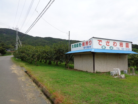 DSC02798
