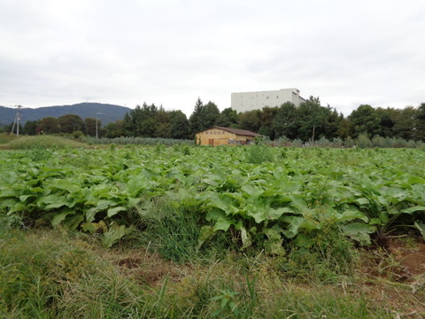 DSC02755