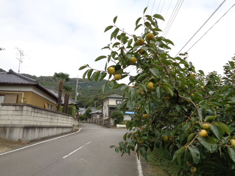 DSC02804
