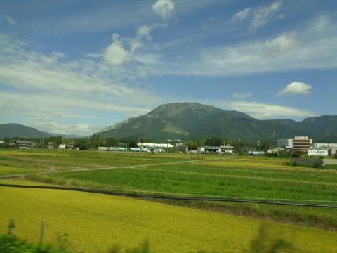 DSC03054
