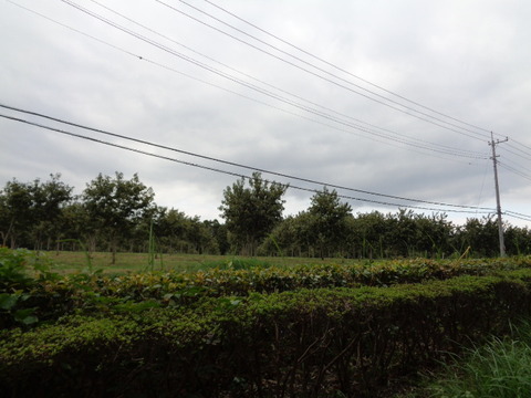 DSC02895