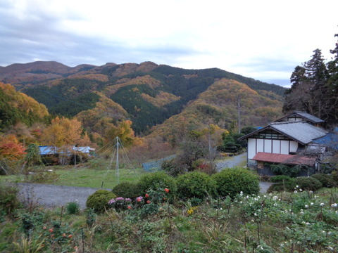 DSC04014