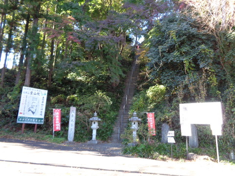 DSC03865