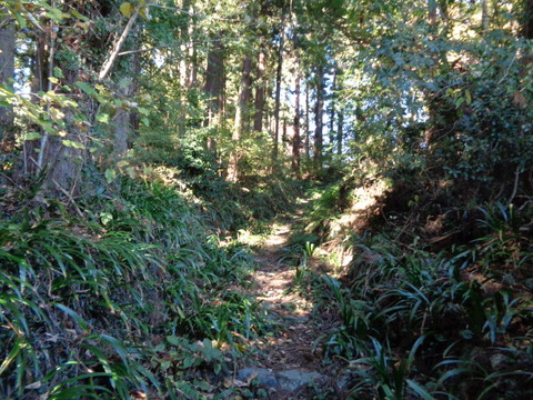 DSC03827