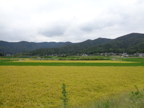 DSC02793