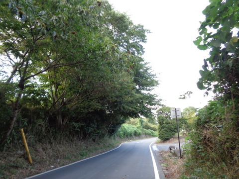 DSC02924