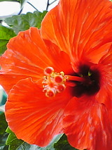 05be600f.jpg