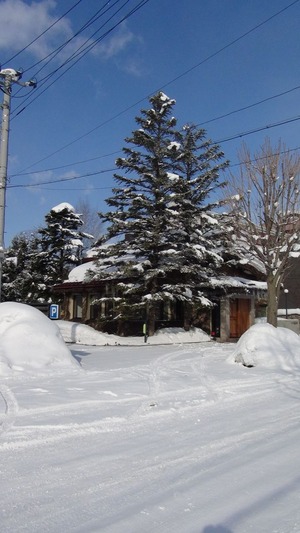 DSC00004