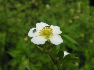 P7060011