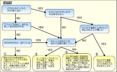 ネイルケアチャートフロー