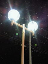 f4615756.jpg