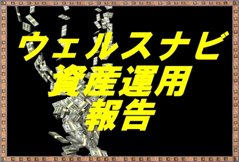 ウェルスナビ運用報告