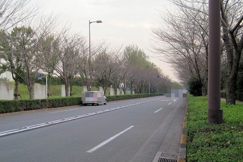 12元滑走路