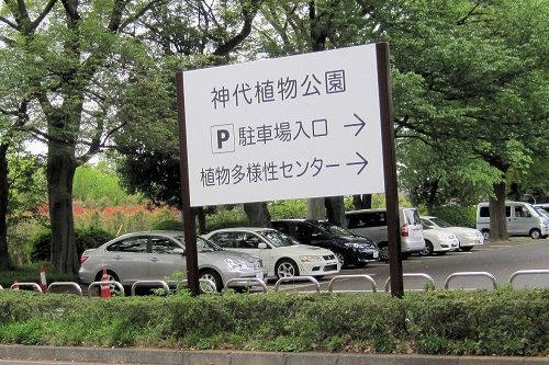 神大駐車場