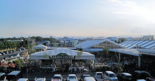09園芸