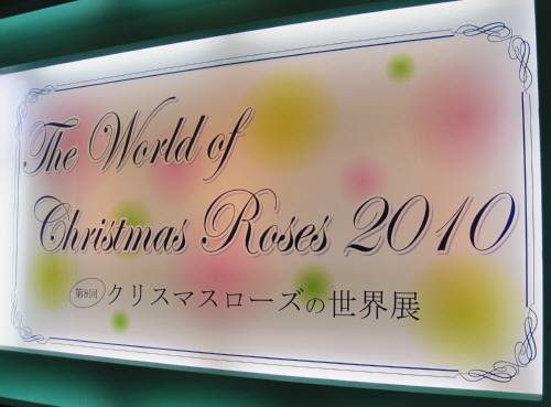 21クリスマスR2看板