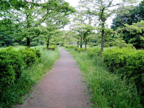 12武蔵野公園