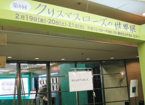 21クリスマスローズ1入り口
