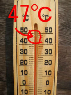 昼は47℃