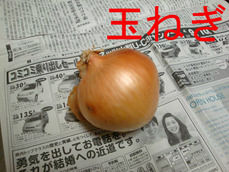 玉ねぎ