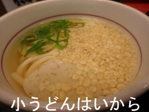 小うどんはいから