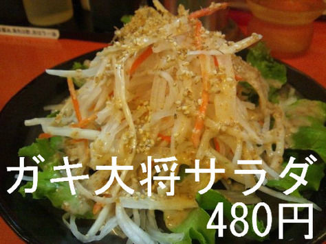 ガキ大将サラダ 480円