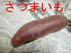 さつまいも