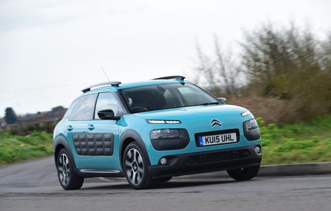 C4 Cactus