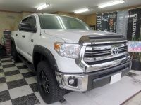 tundra01