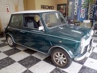 rover mini(99xa)10