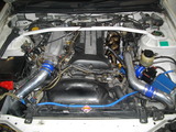 IMGP3335