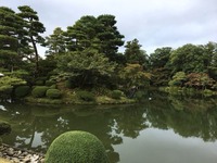 IMG_8578
