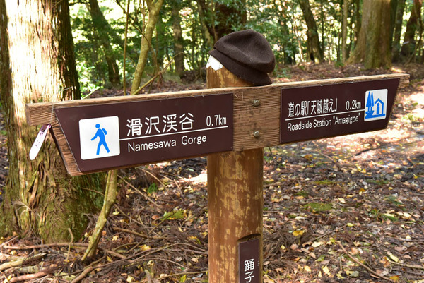 DSC_8823_edited-1