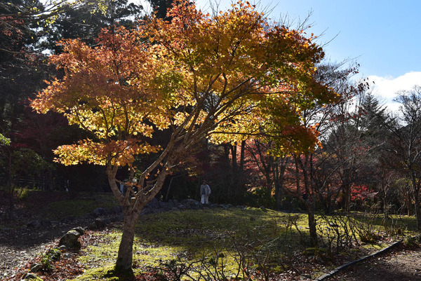 DSC_8770_edited-1