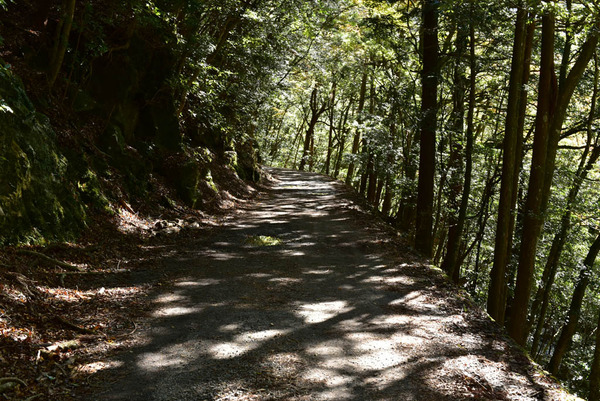 DSC_8810_edited-1