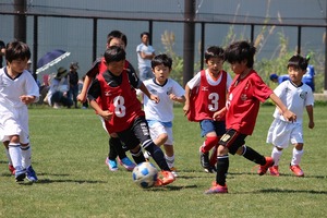 IMG_6209
