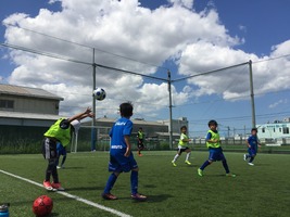 IMG_8006