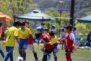 IMG_6382