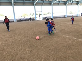 IMG_8256