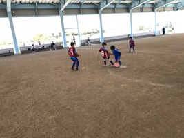 IMG_8254