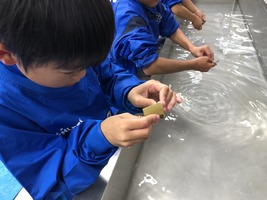 IMG_0467