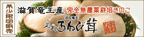 足太あわび茸の通販