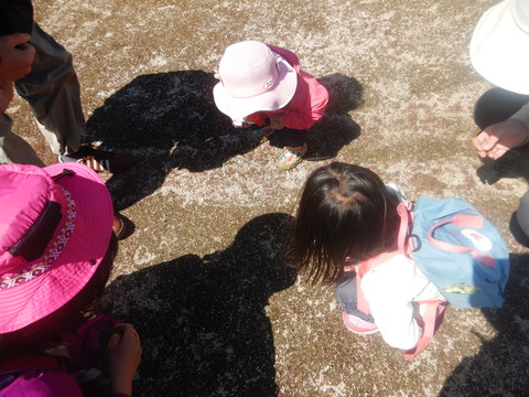 DSCN5553