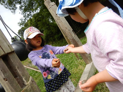DSCN1568