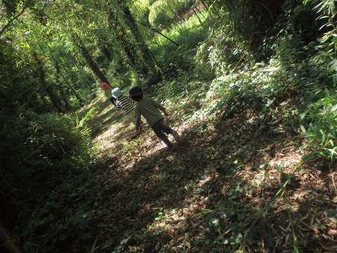 P6133220