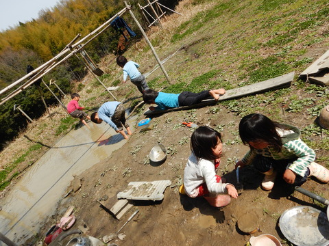 DSCN5252