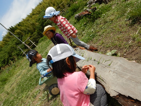 DSCN1505