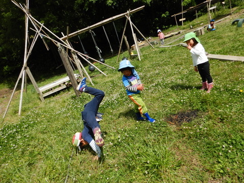 DSCN1495
